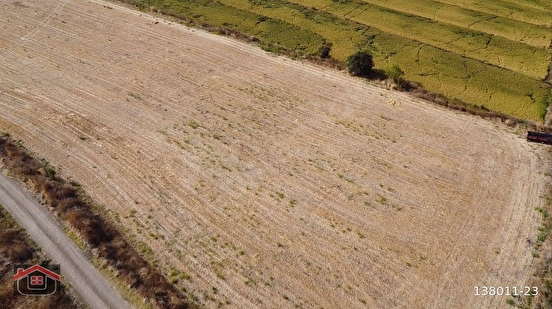 Uçar Emlak'tan Balıkesir/Gönen'de Denize Yakın Pompajlı 13.320 m² Tarla - BALIKESİR GÖNEN fotoğraf 3
