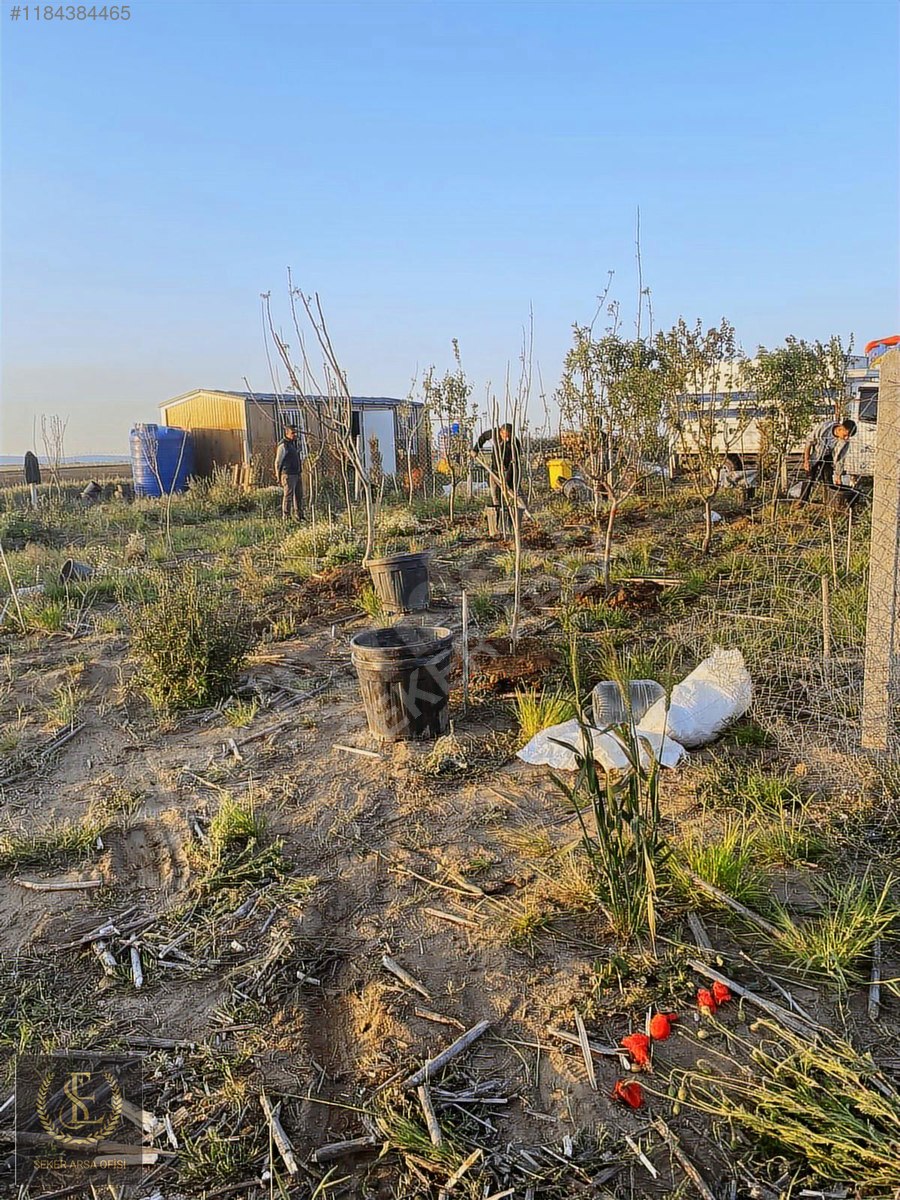 TEKİRDAĞ SARAY YUVALI 290 Metre saray merkez 5Dakika - TEKİRDAĞ SARAY fotoğraf 6