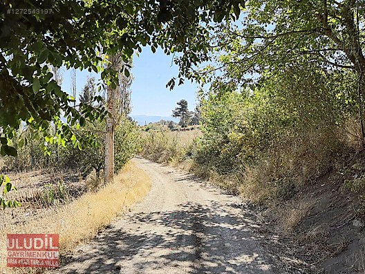 BİLECİK YENİPAZAR BATIBELEÖREN KÖYÜ SATILIK BAHÇE - BİLECİK YENİPAZAR fotoğraf 6