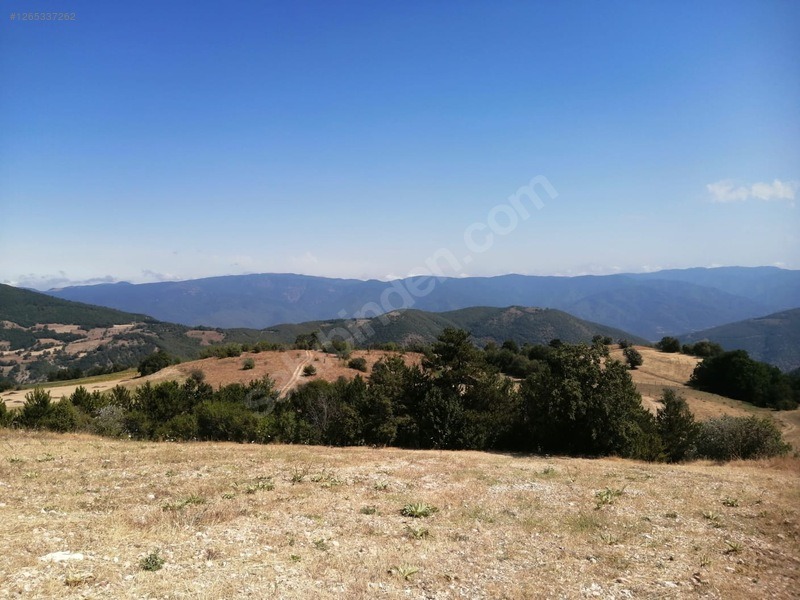 TAŞKESTİ EMLAKTAN 4384 M2 TARLA - BOLU MUDURNU fotoğraf 4