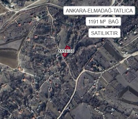 ANKARA ELMADAĞ TATLICA MAHALLESİ’NDE 1191 M² BAĞ SATILIKTIR - ANKARA ELMADAĞ fotoğraf 2