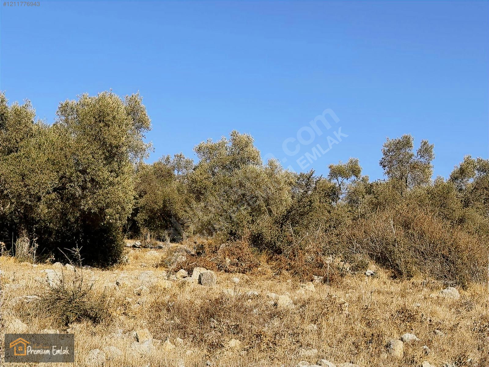 MİLAS KARACAHİSAR MAH.SU ELEKT YOLA SIFIR 10.754mt SATILIK TARLA - MUĞLA MİLAS fotoğraf 10