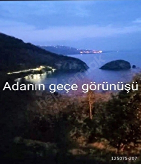 perşembe ramazan mahallesinde satılık imarlı 1515m2 fındık bahçesi. - ORDU PERŞEMBE fotoğraf 5