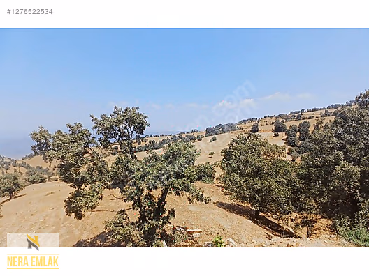 SARIGÖL YENİKÖY'DE ARAÇ TAKASLI UYGUN TEK TAPU 12.190m2 TARLA - MANİSA SARIGÖL fotoğraf 11