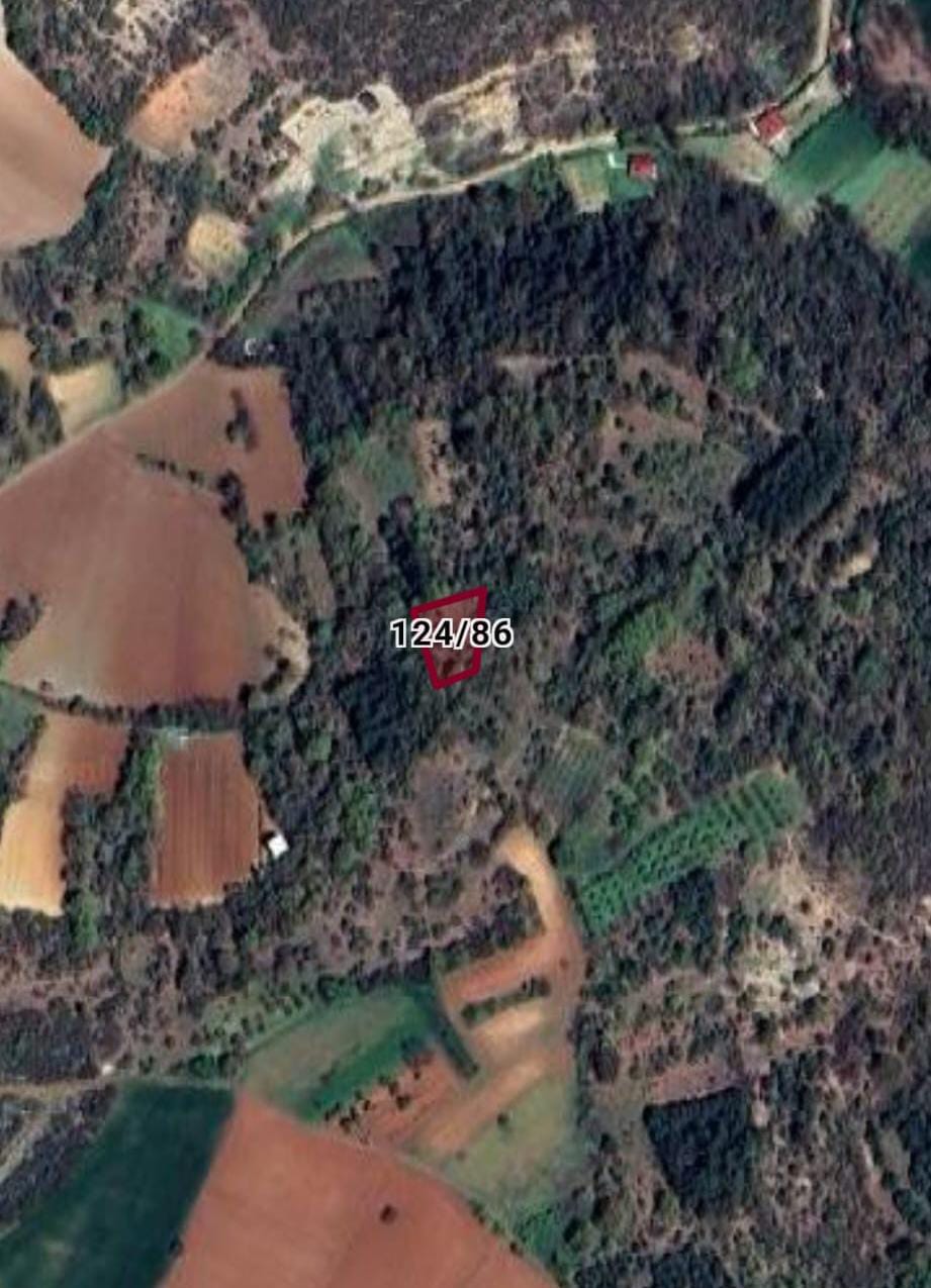 BURSA YENİŞEHİR ORHANİYE MAH. 574M² BAĞ SATILIKTIR - BURSA YENİŞEHİR fotoğraf 2