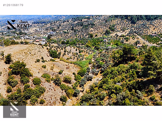 Kemalpaşa Yukarıkızılca Satılık 950 m2 Bahçe Tek Tapu - İZMİR KEMALPAŞA fotoğraf 11