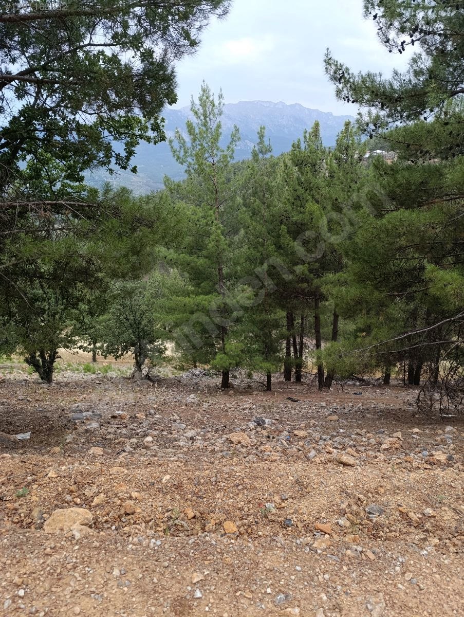 ACİİLLL SATILIKKK SAHİBİNDEN 550M²  İMARLI ARSA - ADANA POZANTI fotoğraf 11