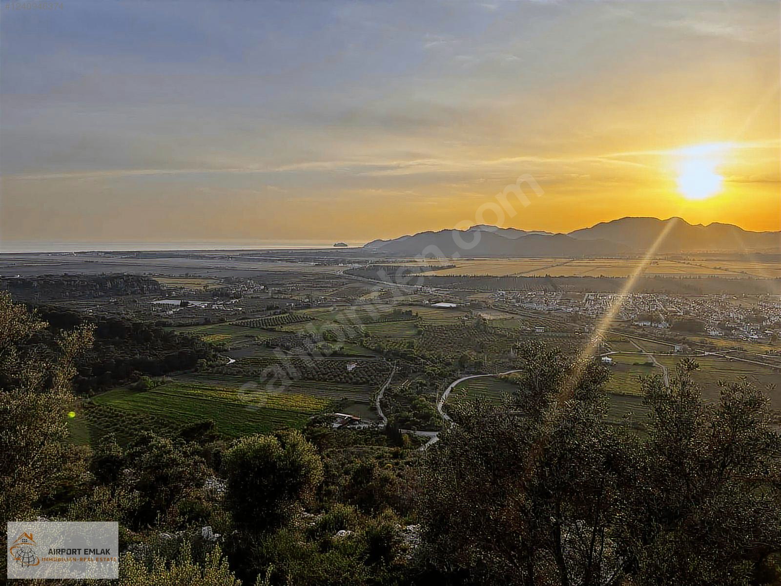 Airport Emlaktan Manzaralı ve Tek Tapu Zeytinlik - MUĞLA DALAMAN fotoğraf 3