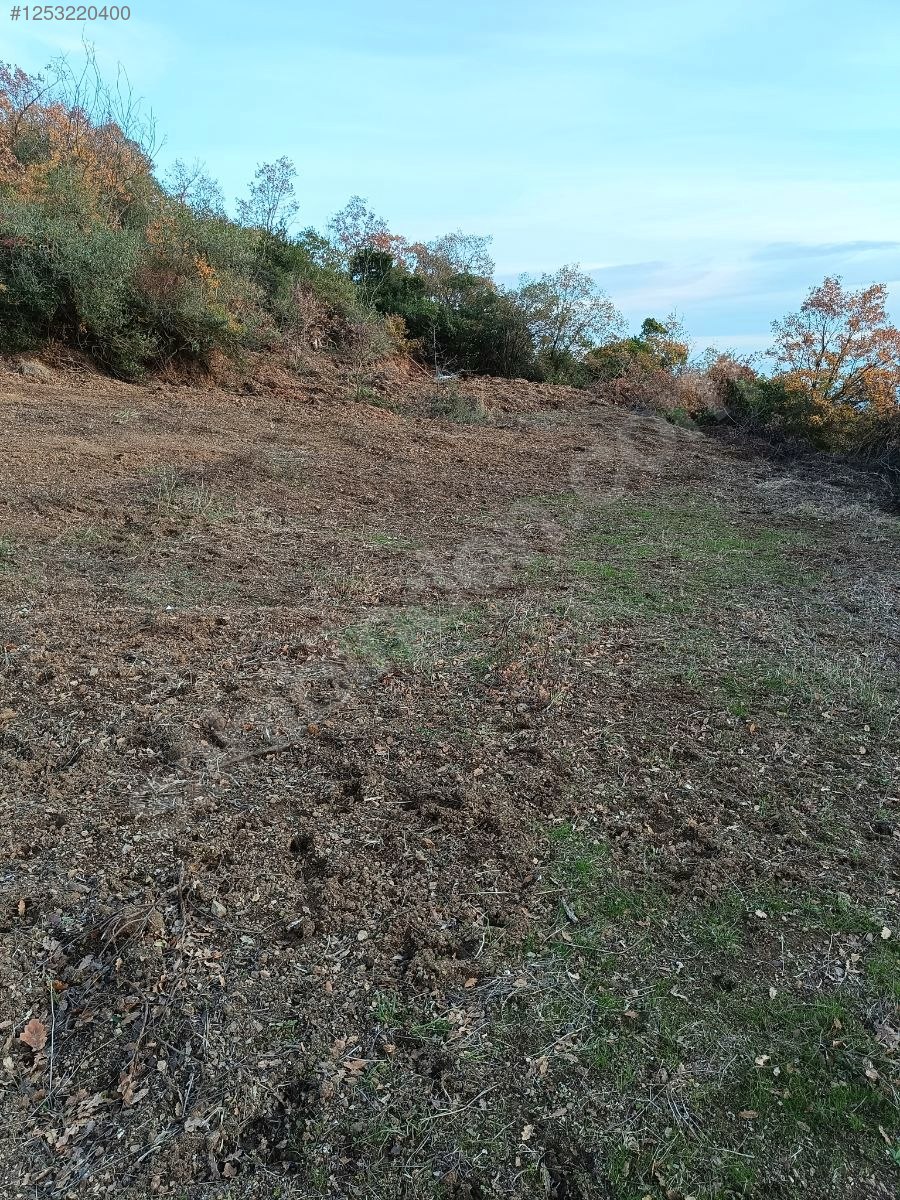 BURSA MUDANYA KAYMAKOBA KÖYÜNDE 537 M TARLA SATILIKTIR - BURSA MUDANYA fotoğraf 5