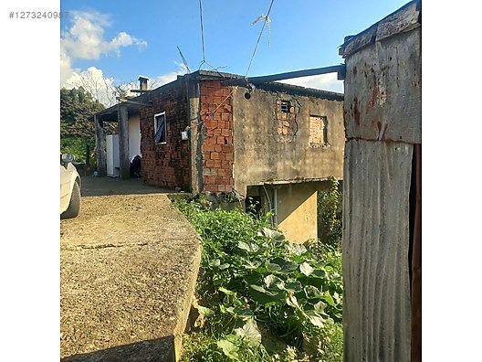 TİREBOLU YALÇ KÖTÜNDE SATILIK İÇİNDE EV OLAN FINDIK BAHÇESİ - GİRESUN TİREBOLU fotoğraf 7