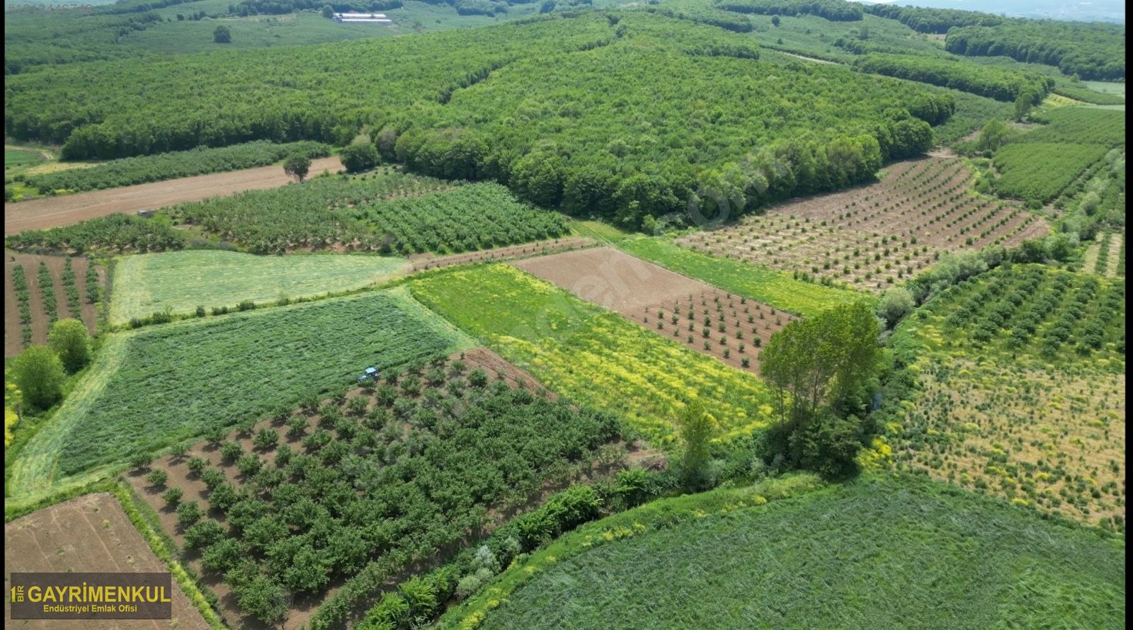 YATIRIM FIRSATI 3.962 M² TARLA FERİZLİ SARIAHMETLER MAH. - SAKARYA FERİZLİ fotoğraf 35
