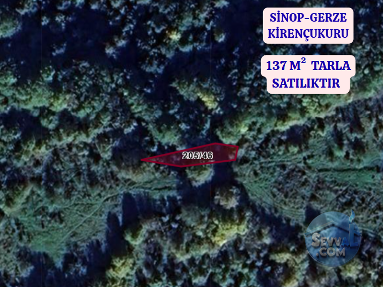 SİNOP GERZE KİRENÇUKURU  KÖYÜNDE  137 M²  TARLA  SATILIKTIR - SİNOP GERZE fotoğraf 2