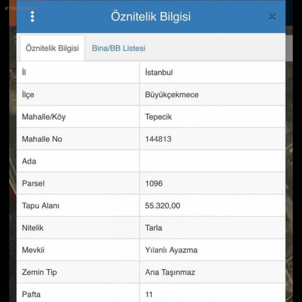 İlan Resmi