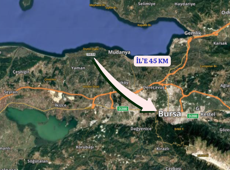 BURSA MUDANYA TİRİLYE (TALATBEY)  KÖYÜNDE 3.753 M²  ZEYTİNLİK SATILIKTIR - BURSA MUDANYA fotoğraf 6