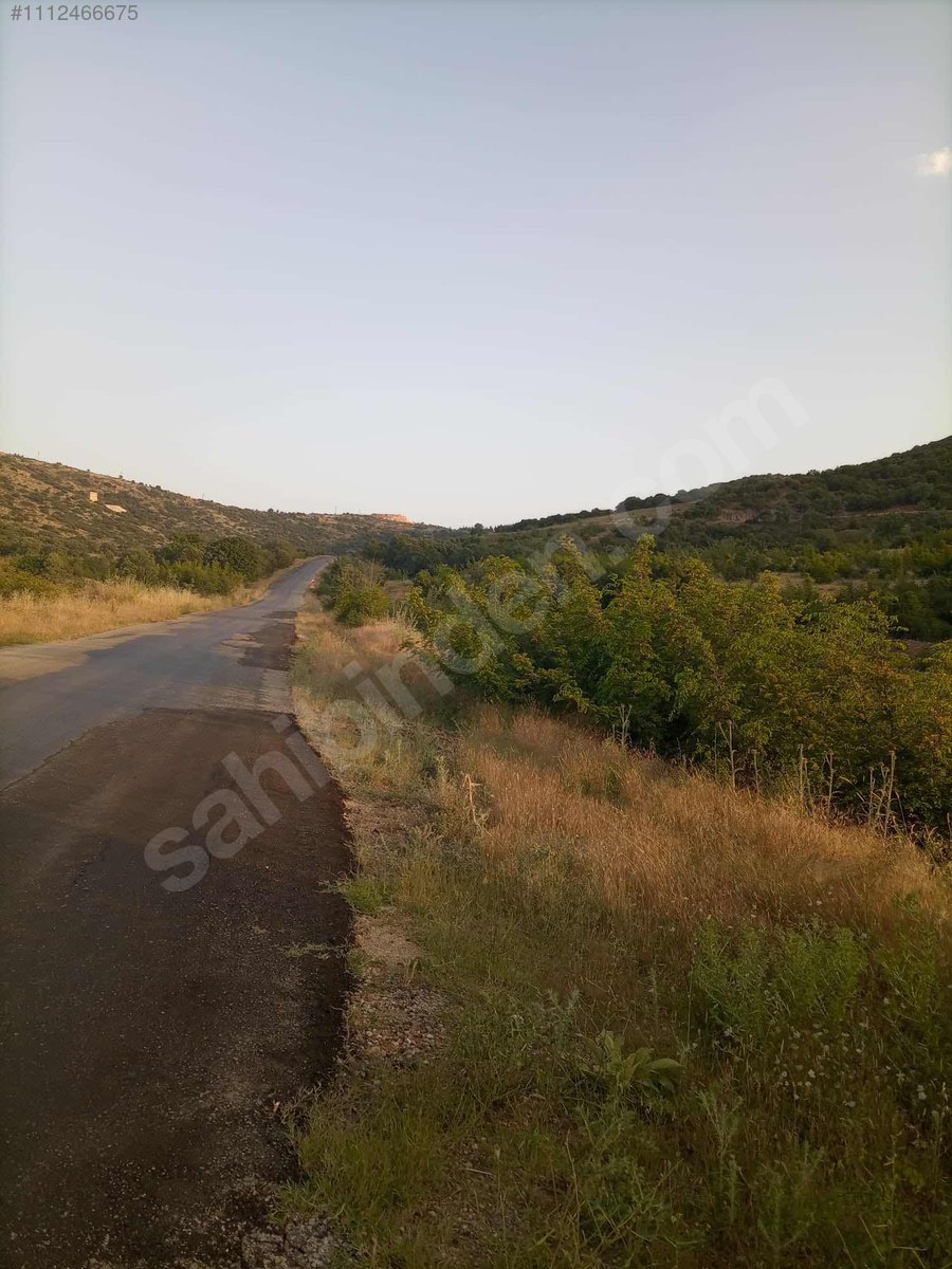 DENİZLİ BEKİLLİ DEŞDEMİR KÖYÜNDE  5.489 M²   TARLA SATILIKTIR - DENİZLİ BEKİLLİ fotoğraf 7