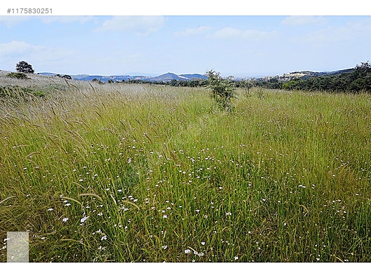 ÇANAKKALE BAYRAMİÇ MURATLAR KÖYÜ 45.000 m2 TARLA - ÇANAKKALE BAYRAMİÇ fotoğraf 35