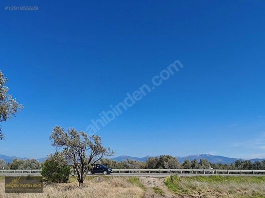 HAVRAN MESCİT MAHALLESİ OTOYOLA YAKIN 10 DÖNÜM SATIILIK ZEYTİNLİ - BALIKESİR HAVRAN fotoğraf 3