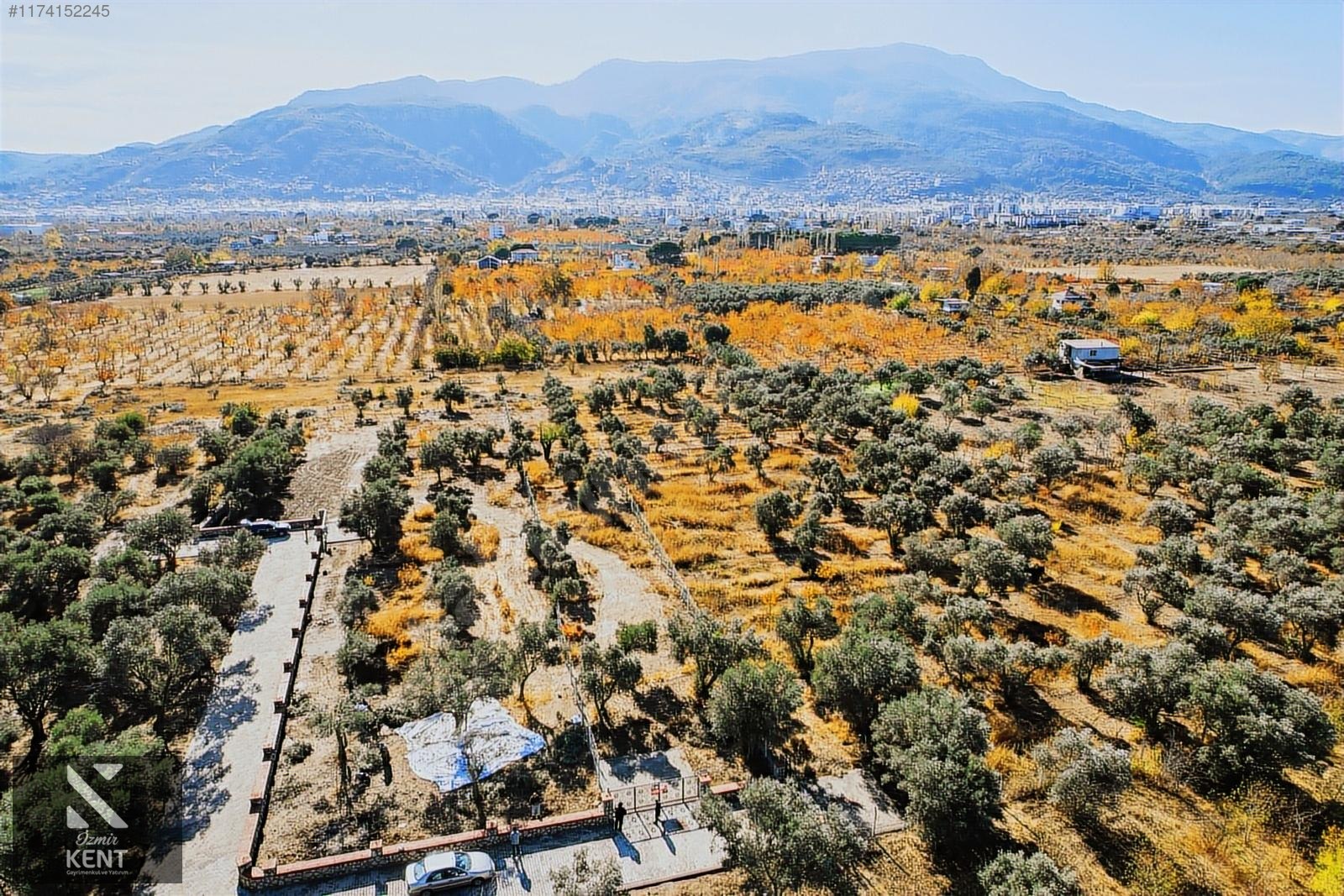 Kemalpaşa Sekiz Eylül Merkeze Yakın Satılık 3440 m2 Zeytinlik - İZMİR KEMALPAŞA fotoğraf 47