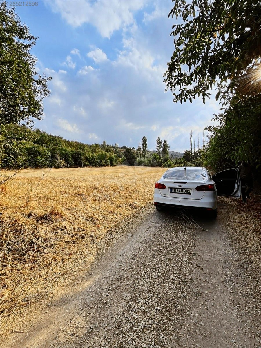 YATIRIMLIK ADA 127 PARSEL 11 BOĞAZ KÖYDE RESMİ YOLU VAR - BURSA İNEGÖL fotoğraf 6
