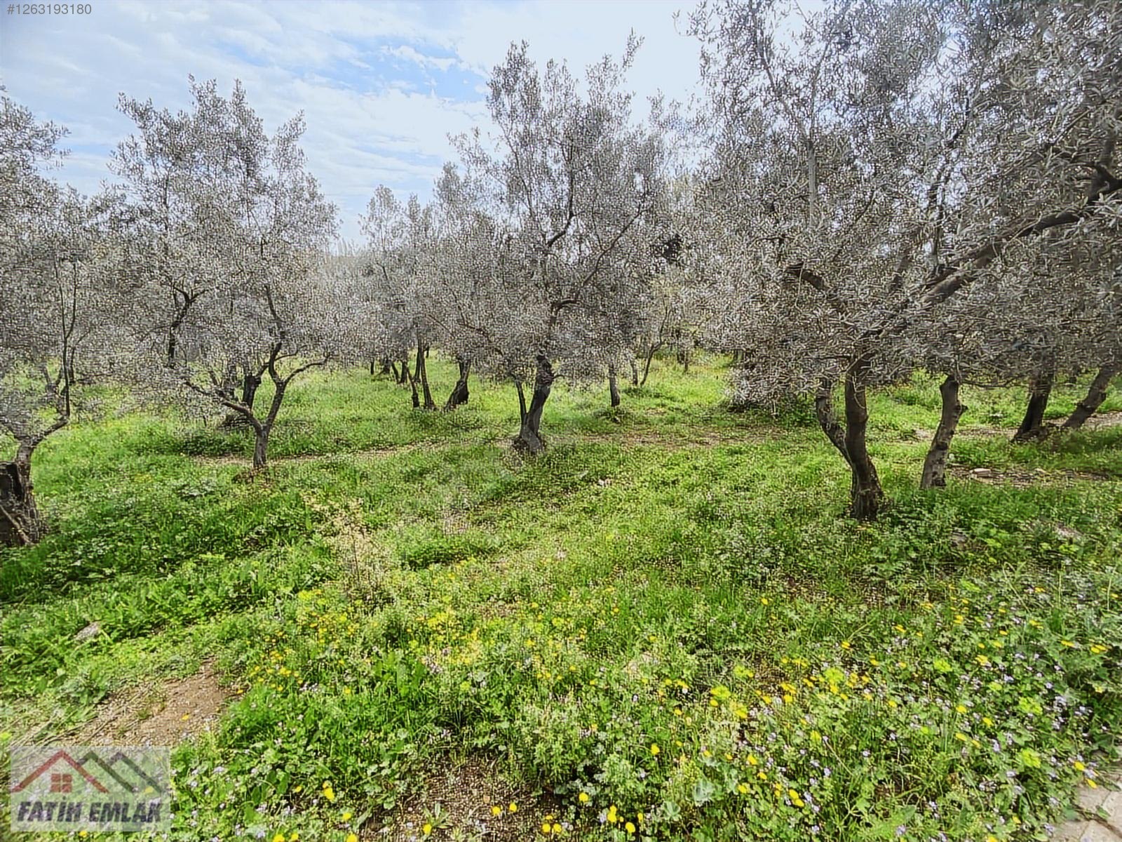 Fatih'ten Orhangazi Gedelekte çift tapu 1 dönüm yatırımlık - BURSA ORHANGAZİ fotoğraf 15