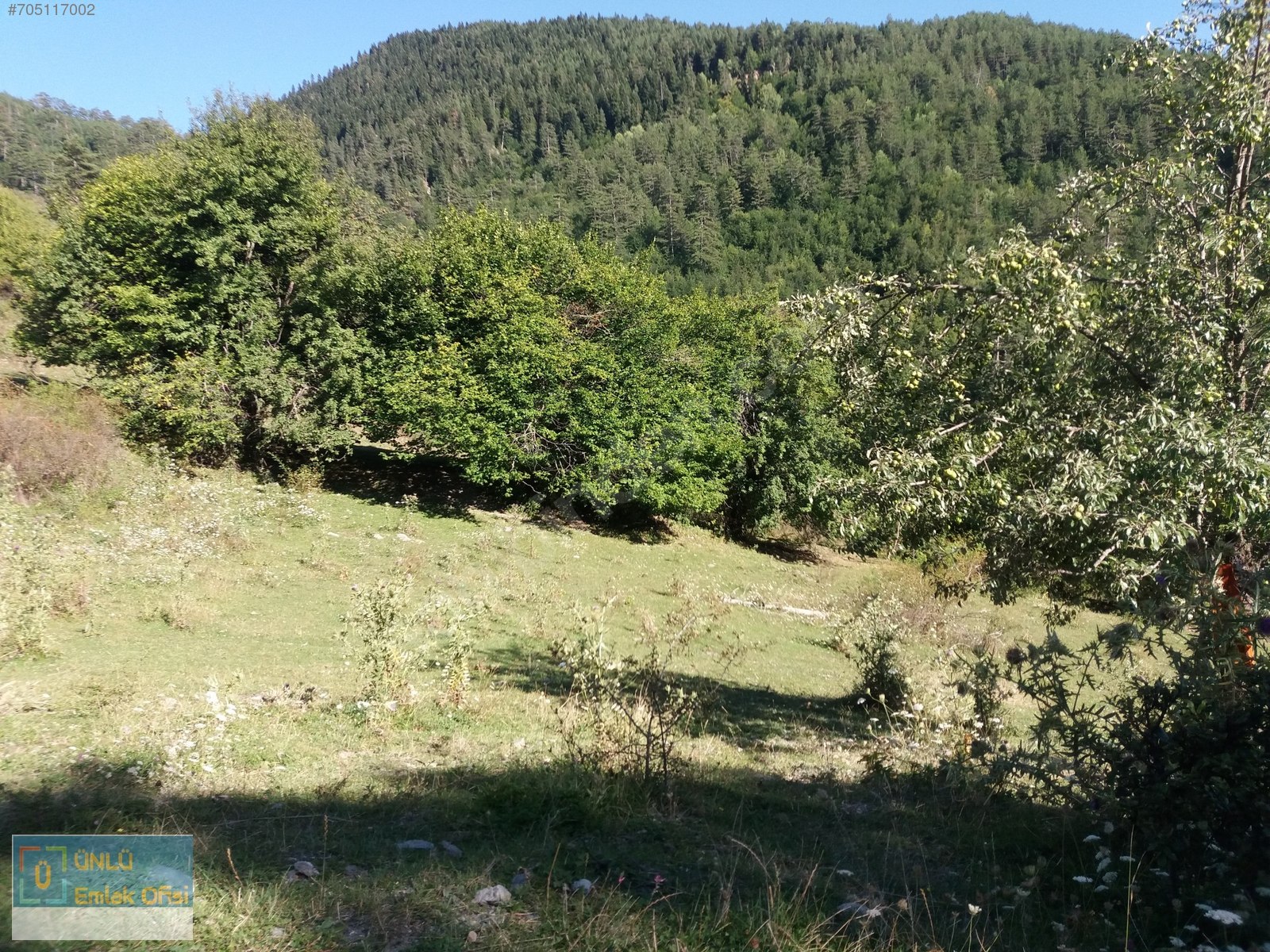 ÜNLÜ EMLAKTAN ILGAZ MANZARALI ORMAN İÇİNDE 50 DÖNÜM CAZİP ARAZİ - KASTAMONU MERKEZ fotoğraf 17