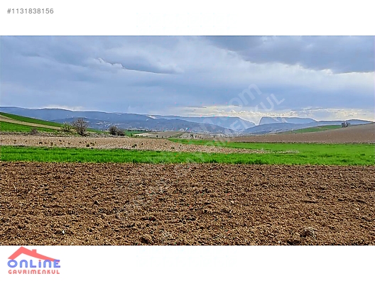 Araç Takaslı - BİLECİK YENİPAZAR fotoğraf 19