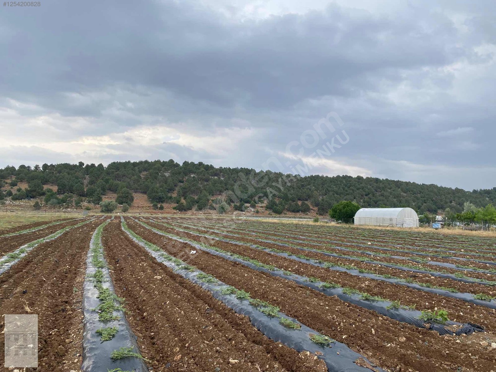 Yayla karaçulhada problemsiz ev için uygun tarla - MUĞLA SEYDİKEMER fotoğraf 5