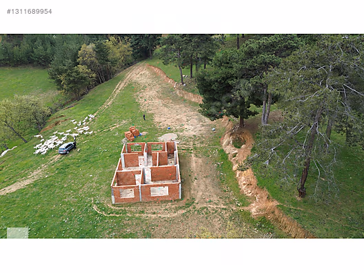 ÇANAKKALE BAYRAMİÇ DALOBA KÖYÜ 4781 m2 TARLA - ÇANAKKALE BAYRAMİÇ fotoğraf 11