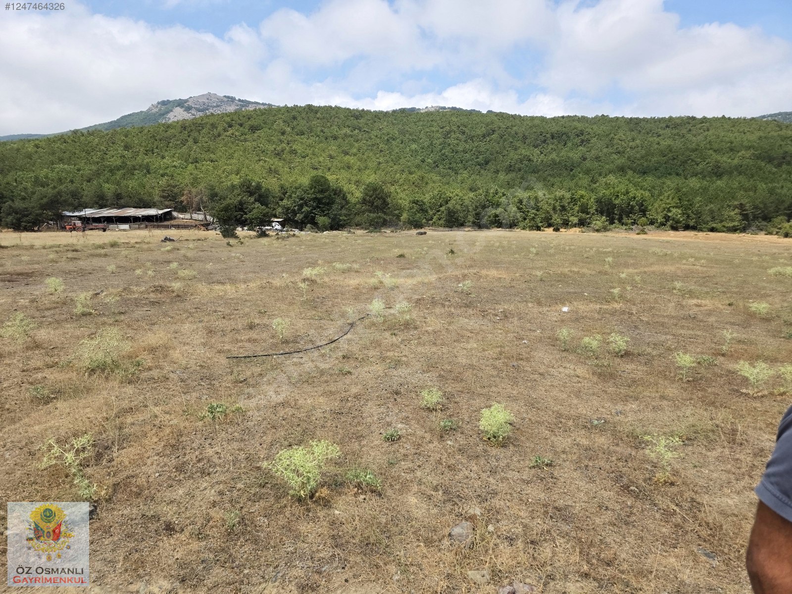 RESMİ YOLU OLAN 4,600 m2 ÇİFTLİK ARAZİSİ KAÇMAZ ! - BİLECİK OSMANELİ fotoğraf 9