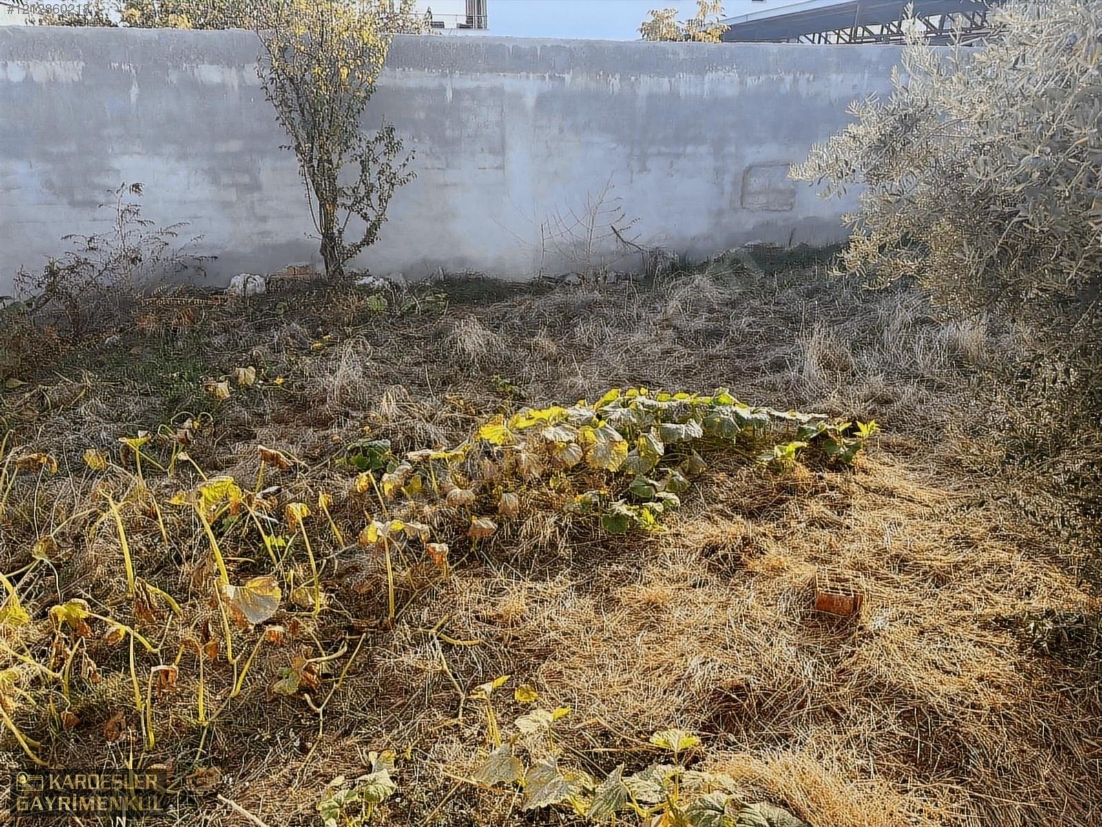 TİYENLİDE SATILIK YOL ÇARŞI MERKEZ ÜZERİNDE - MANİSA GÖLMARMARA fotoğraf 14