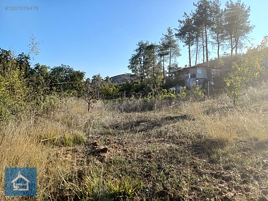 ÇAĞLAR'DAN TOPRAKDERE DE 823m2 MÜSTAKİL TARLA YOL+SU VAR - BURSA YENİŞEHİR fotoğraf 10