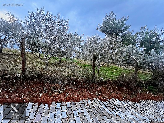 Kemalpaşa Armutlu Hürriyet Mah. Satılık 1.950 m2 Bahçe - İZMİR KEMALPAŞA fotoğraf 8