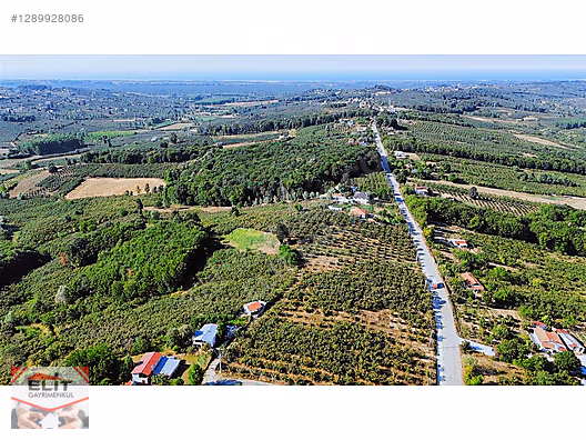 SAKARYA KARASU'DA SATILIK FRSAT KÖY İÇİNDE 635 metre² KUPON ARSA - SAKARYA KARASU fotoğraf 6