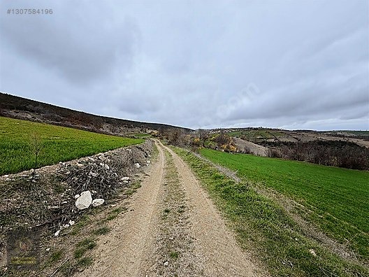 SAMSUN VEZİRKÖPRÜ ÇAMLIDERE'DE 6.670 M2 UYGUN ARSA - SAMSUN VEZİRKÖPRÜ fotoğraf 3
