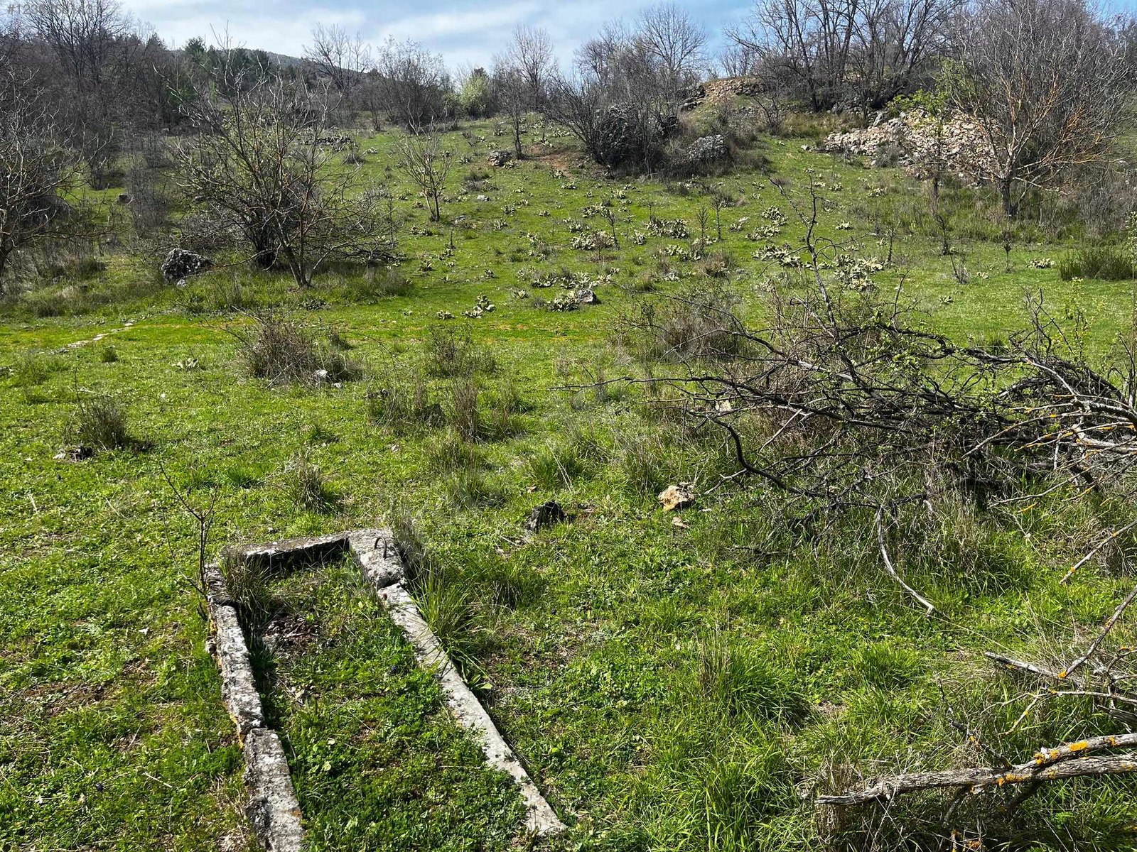 BURSA KELEŞ KIRANIŞIKLAR'DA 1.262 M² BAĞ SATILIKTIR. - BURSA KELES fotoğraf 9