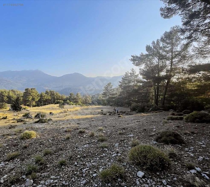 Antalya / Kaş / Çamlıköy Mahallesinde 1.257 m² SATILIK ARSA  - ANTALYA KAŞ fotoğraf 6