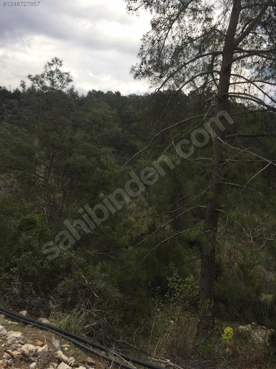 Antalya / Kumluca / Karacaören Mahallesinde 918 m² SATILIK TARLA - ANTALYA KUMLUCA fotoğraf 8