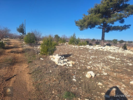 GÜLNAR SARAY MAHALLESİNDE SATILIK 10500 M2 TARLA - MERSİN GÜLNAR fotoğraf 8