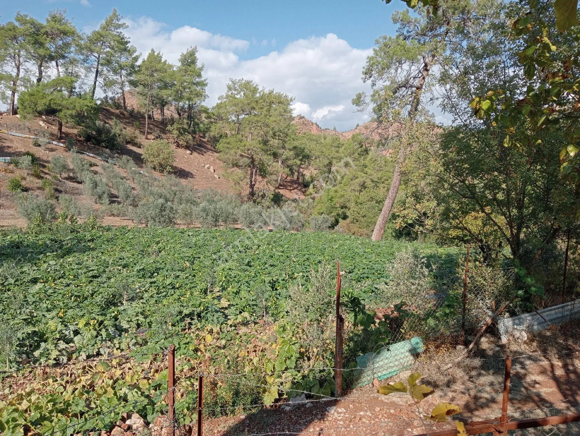 Antalya Kumlucada Satılık Müstakil Bahçe İnceoğlu Emlak - ANTALYA KUMLUCA fotoğraf 8