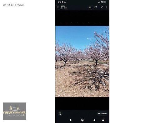 YUSUF KARADAĞLI'DAN KULUNCAK TOHMA KENAR 31 DÖNÜM SATILIK BAHÇE - MALATYA KULUNCAK fotoğraf 5