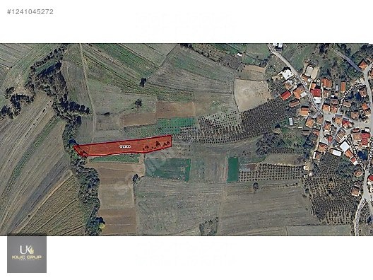 Kandıra Üğümce Satılık Fırsat Tarla - KOCAELİ KANDIRA fotoğraf 2