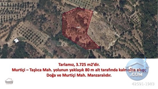 Murtiçine Yakın Konumda Acil Satılık Tarla - ANTALYA AKSEKİ fotoğraf 3