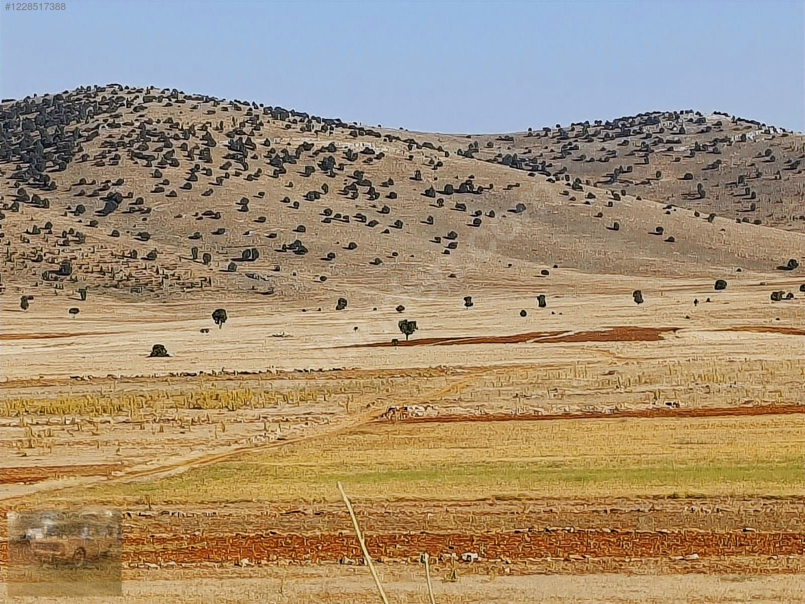 acil.Korkuteli sımandırda.sanayi arsalarına komşu2382m tarla - ANTALYA KORKUTELİ fotoğraf 15