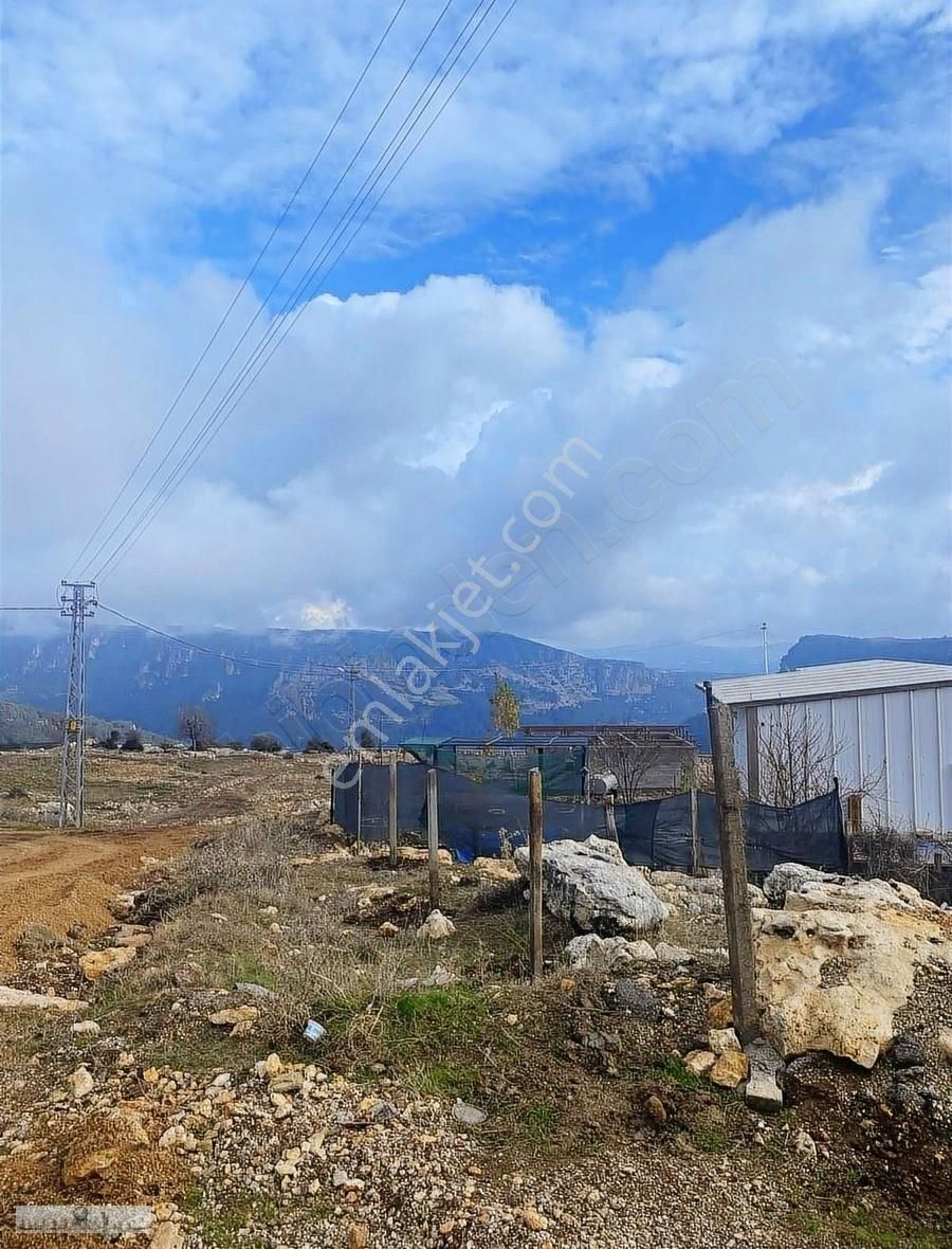 Gözne Korum Mevki Süper Manzara - MERSİN TOROSLAR fotoğraf 2