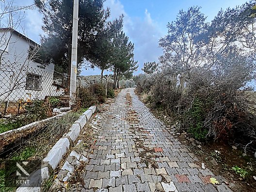 Kemalpaşa Armutlu Hürriyet Mah. Satılık 1.950 m2 Bahçe - İZMİR KEMALPAŞA fotoğraf 29