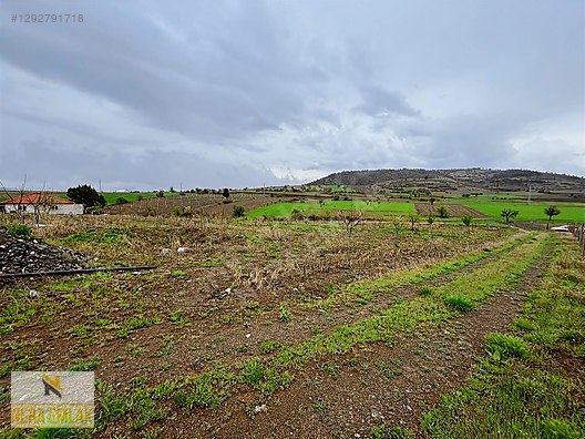 ÇARDAK'DA TEK TAPU BAHÇELİ MÜSTAKİL EV VE ARSASI 5.648m2 - DENİZLİ ÇARDAK fotoğraf 8