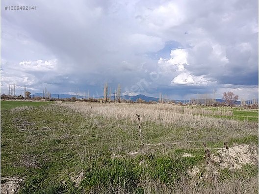 GÜLTEKİN EMLAKTAN Kargalı Yolu Üzerinde Satılık Tarla - BURDUR GÖLHİSAR fotoğraf 4