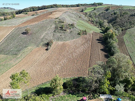 TAHTALI GÖLETİNE YAKIN BÖLGE GEREDELİ'DE 3391 M2 MÜSTAKİL TARLA - KOCAELİ DERİNCE fotoğraf 21