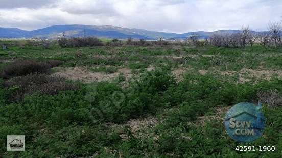 Çevreyoluna Çok Yakın 5 Dönüm Bahçe, 2 tarafı da yol - ANTALYA KORKUTELİ fotoğraf 57