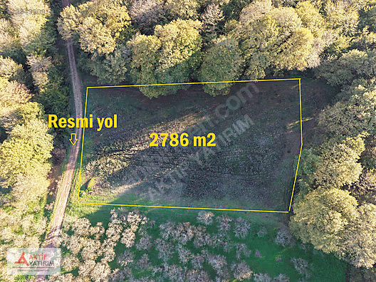 SAKARYA KAYNARCA CEBEK 2786 M2 KARE ORMANA CEPHELİ RESMİ YOLLU - SAKARYA KAYNARCA fotoğraf 7